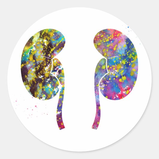 Die Nidneys-Anatomie Runder Aufkleber (Vorderseite)