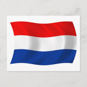 Die niederländische Flagge Postkarte