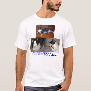 Die niedlichsten Katzen der Welt T-Shirt