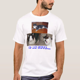Die niedlichsten Katzen der Welt T-Shirt