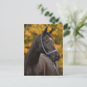 Die nobelarabischen postkarte (Stehend Vorderseite)