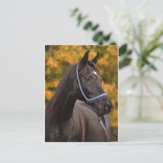 Die nobelarabischen postkarte (Stehend Vorderseite)