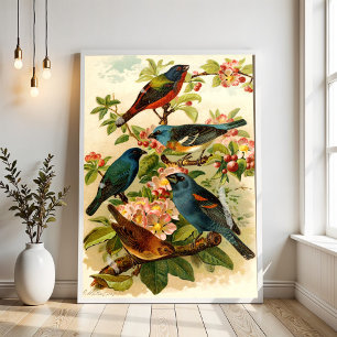 Die nordamerikanische Vogelwelt, Gustav Mützel Poster