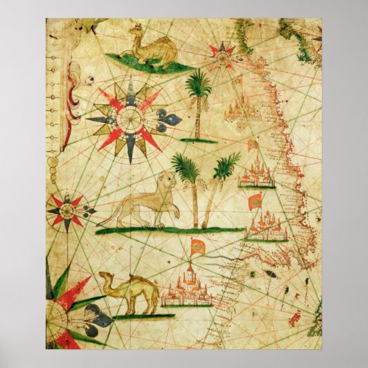 Die Nordküste Afrikas Poster (Vorne)