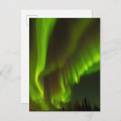 Die Nordlichter | Banken, Alaska Postkarte (Vorne/Hinten)