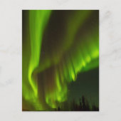 Die Nordlichter | Banken, Alaska Postkarte (Vorderseite)