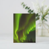 Die Nordlichter | Banken, Alaska Postkarte (Stehend Vorderseite)