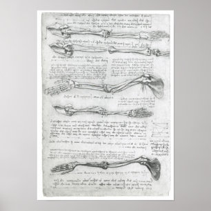Die obere Extremität, Leonardo da Vinci Poster