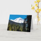 DIE OBERFLÄCHE DER HAUPTSHASTA KARTE (Gelbe Blume)