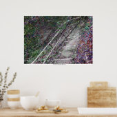 Die oberflächliche Treppe von Rowan Blair Colver Poster (Küche)