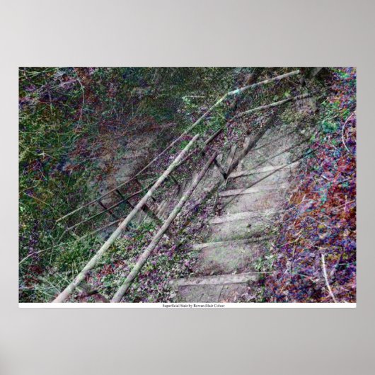 Die oberflächliche Treppe von Rowan Blair Colver Poster (Vorne)
