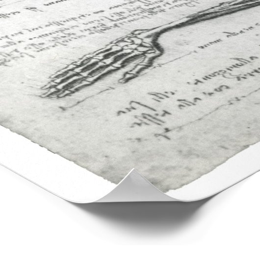 Die oberste Extremität, Leonardo da Vinci Poster (Ecke)