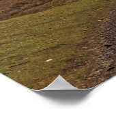 Die offene Straße Poster (Ecke)