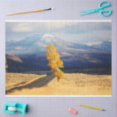 Die offene Straße Seidenpapier (Basteln)