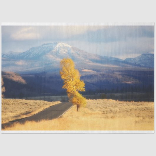 Die offene Straße Seidenpapier (Vorderseite)