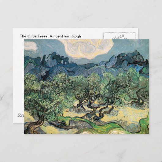 Die Olivenbäume, Vincent van Gogh Postkarte (Vorne/Hinten)