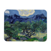 Die Olivenbäume von Vincent Van Gogh Magnet (Horizontal)