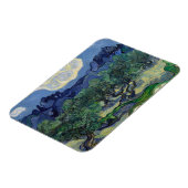 Die Olivenbäume von Vincent Van Gogh Magnet (Linke Seite)