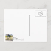 Die Ollie Painterly Postkarte (Rückseite)