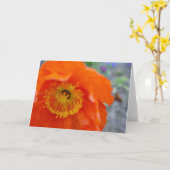 Die orange Blume Karte (Gelbe Blume)