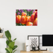 Die orangefarbenen Tulips Poster (Heimbüro)