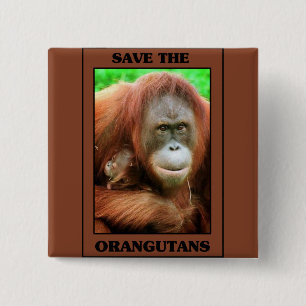 Die Orangutanen gerettet Button