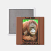 Die Orangutanen gerettet Magnet (Vorderseite/Rückseite)