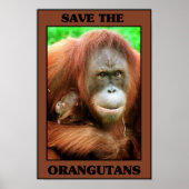Die Orangutanen gerettet Poster (Vorne)
