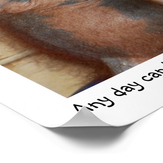 Die Orangutanen gerettet Poster (Ecke)