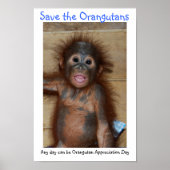 Die Orangutanen gerettet Poster (Vorne)