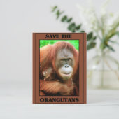 Die Orangutanen gerettet Postkarte (Stehend Vorderseite)
