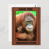 Die Orangutanen gerettet Postkarte (Vorne/Hinten)