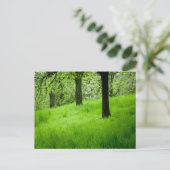 Die Orchard-Postkarte Postkarte (Stehend Vorderseite)