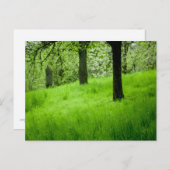 Die Orchard-Postkarte Postkarte (Vorne/Hinten)