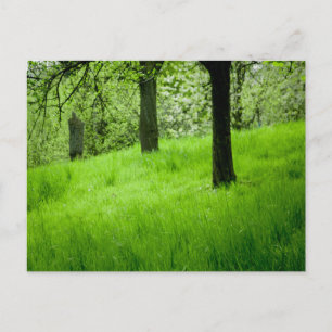 Die Orchard-Postkarte Postkarte