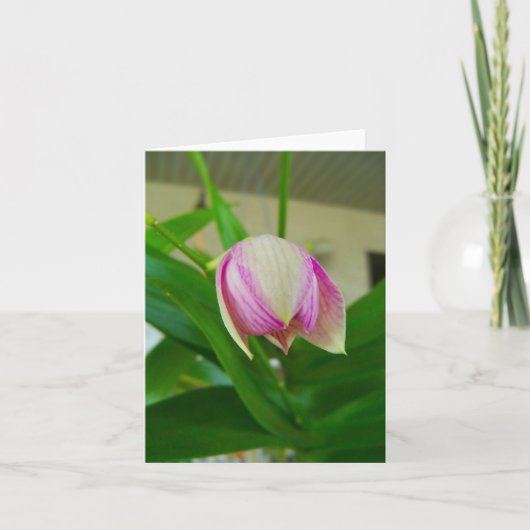 Die orchid-Blume wird auf einer leeren Notenkarte (Vorderseite)