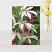 Die Orchideen-Blüten-Gruß-Karte der Nonne Karte (Gelbe Blume)