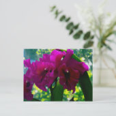 Die Orchideen Postkarte (Stehend Vorderseite)