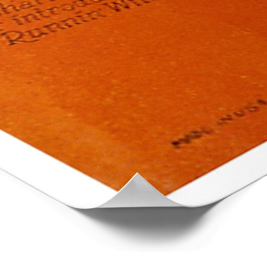 Die originelle Charleston Poster (Ecke)