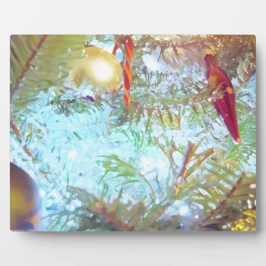 Die Ornamente der Feiertage im Licht Fotoplatte (Vorderseite)