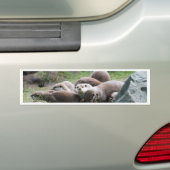 Die Otterfamilie Autoaufkleber (Auf Auto)