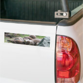 Die Otterfamilie Autoaufkleber (Auf Lkw)
