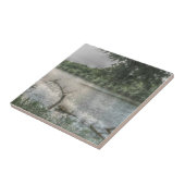 Die Ouachita Fliese (Seite)