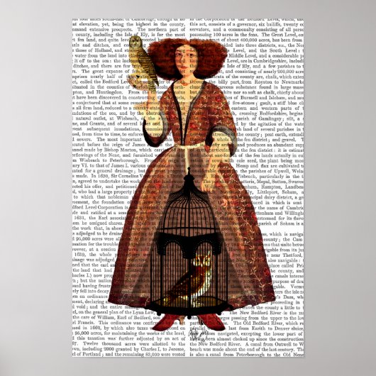 Die Owl Lady Poster (Vorne)