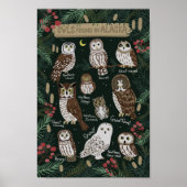 Die Owls in Alaska Poster (Vorne)