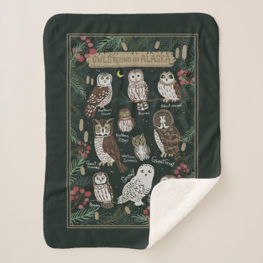 Die Owls in Alaska Sherpa Blanket gefunden Sherpadecke (Vorderseite)
