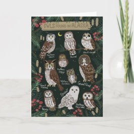 Die Owls in der Alaska Grußkarte gefunden Karte