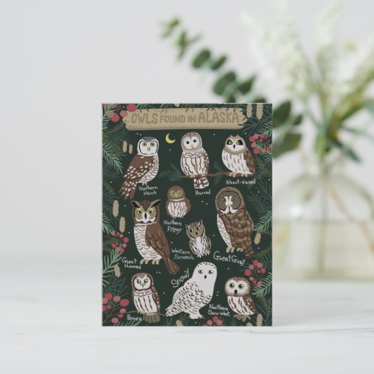 Die Owls in der Alaska Postcard Postkarte (Stehend Vorderseite)