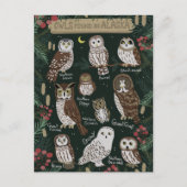 Die Owls in der Alaska Postcard Postkarte (Vorderseite)