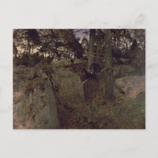 Die Paarung der Kaperkälchen, 1888 Postkarte (Vorderseite)
